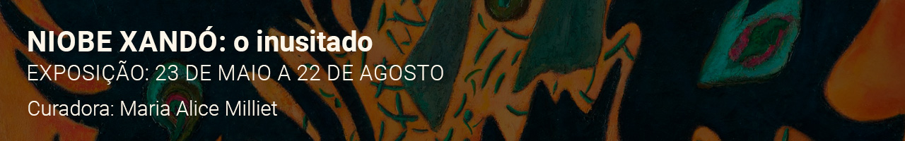 Exposição Niobe Xandó