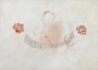 Adriana Rocha - Sem Título