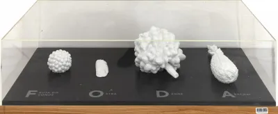 Ai Weiwei - F.O.D.A. ( Fruta-do-conde, Ostra, Dendê e Abacaxi)