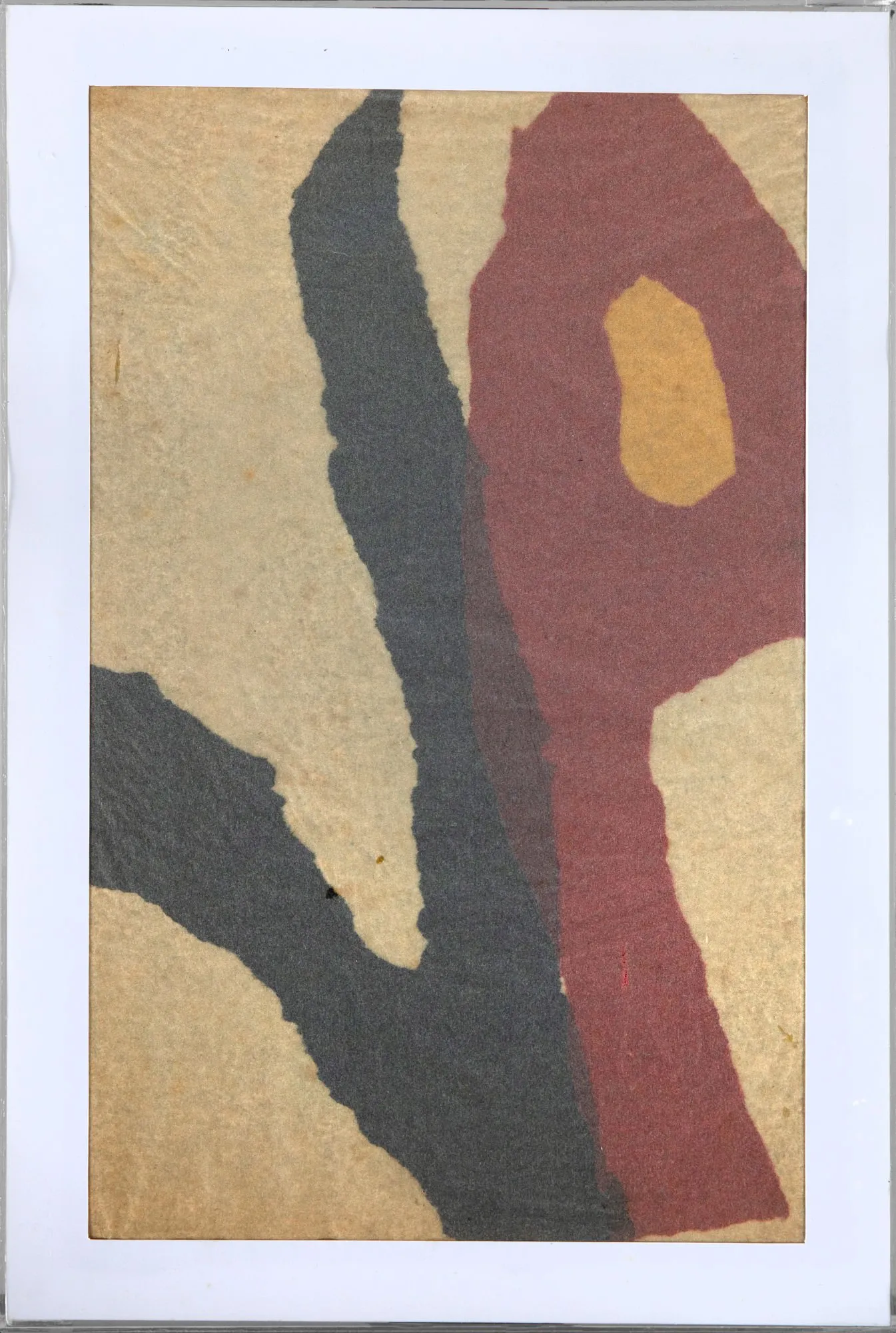 Amelia Toledo - Colagens