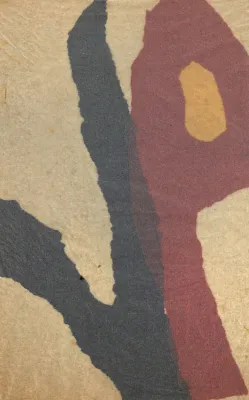 Amelia Toledo - Colagens