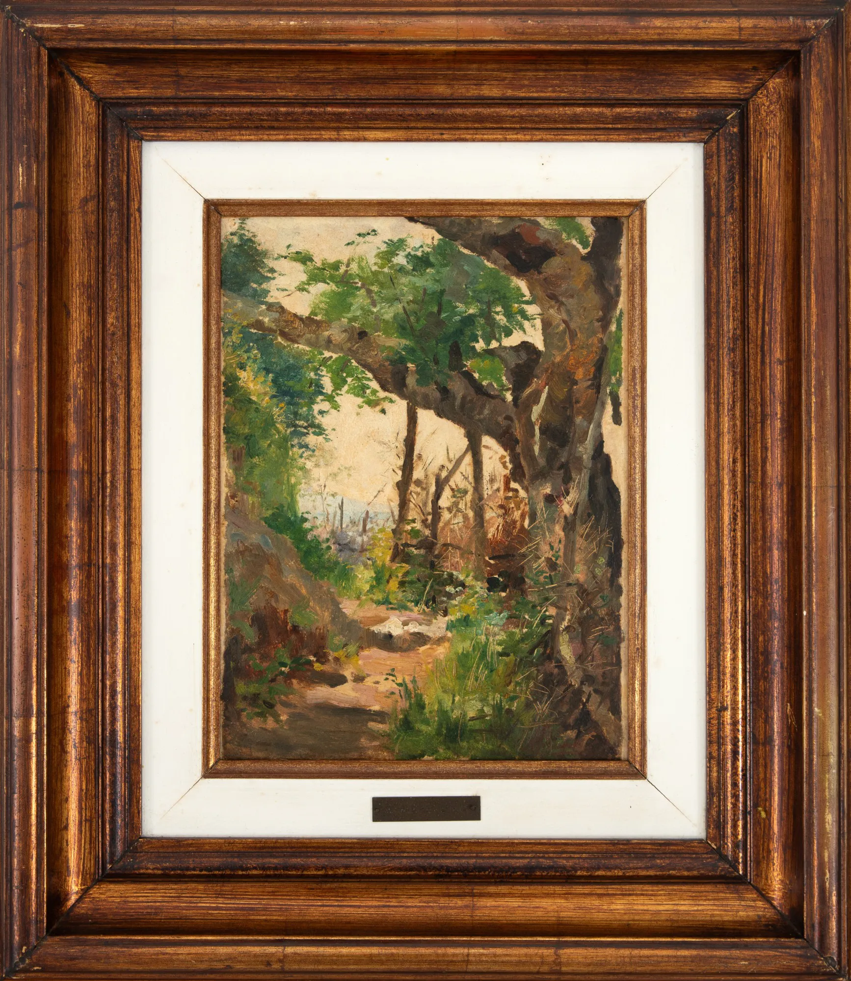 Antonio Ferrigno - Entrada da Fazenda Boqueirão