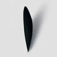 Artur Lescher - Asa #01