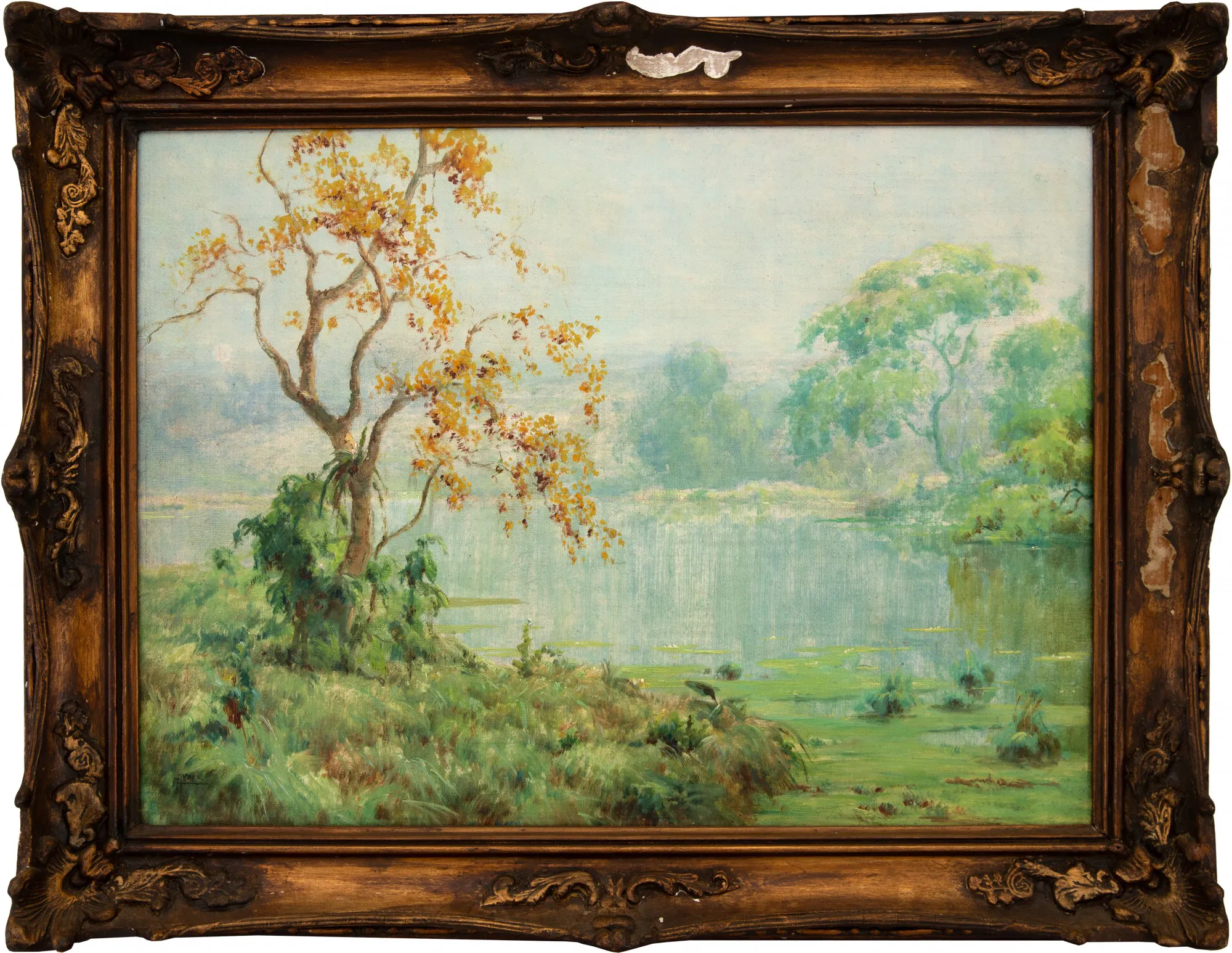 Campos Ayres - Paisagem