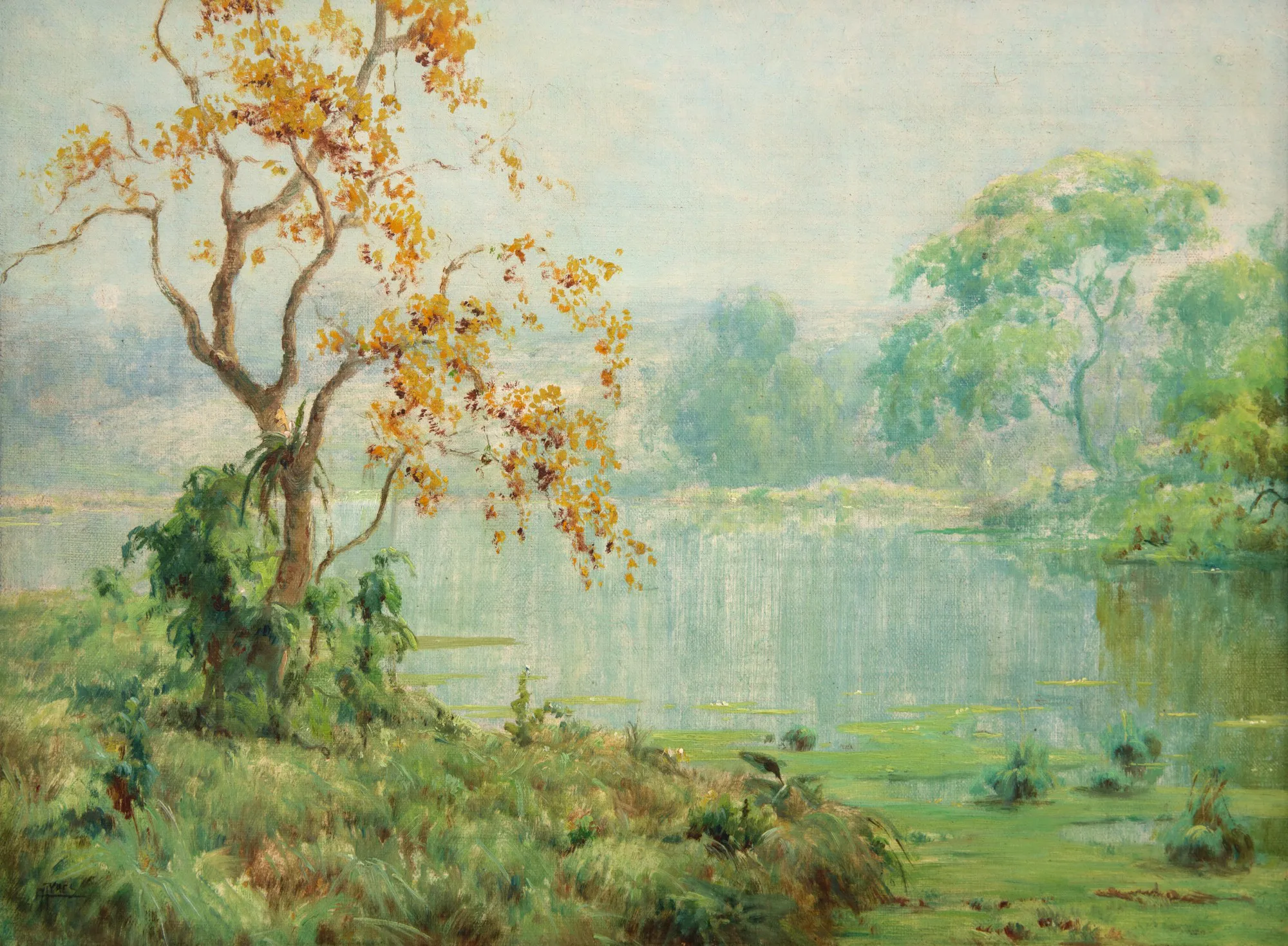 Campos Ayres - Paisagem
