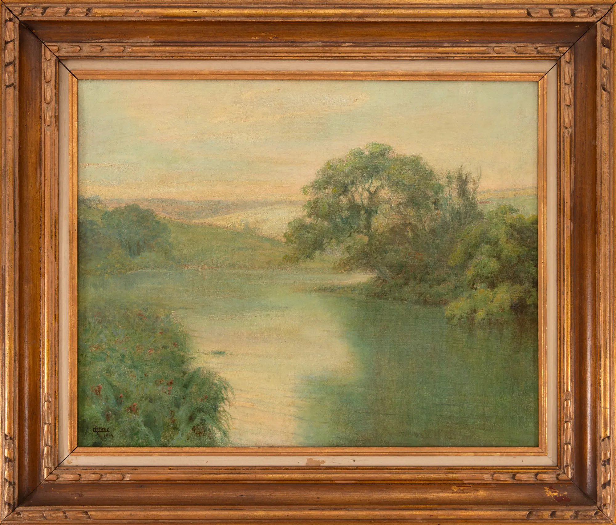 Campos Ayres - Paisagem