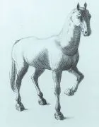 Candido Portinari - Cavalo