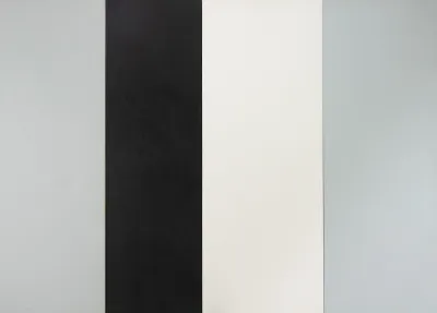 Cassio Michalany - Sem Título (Quatro Paineis)