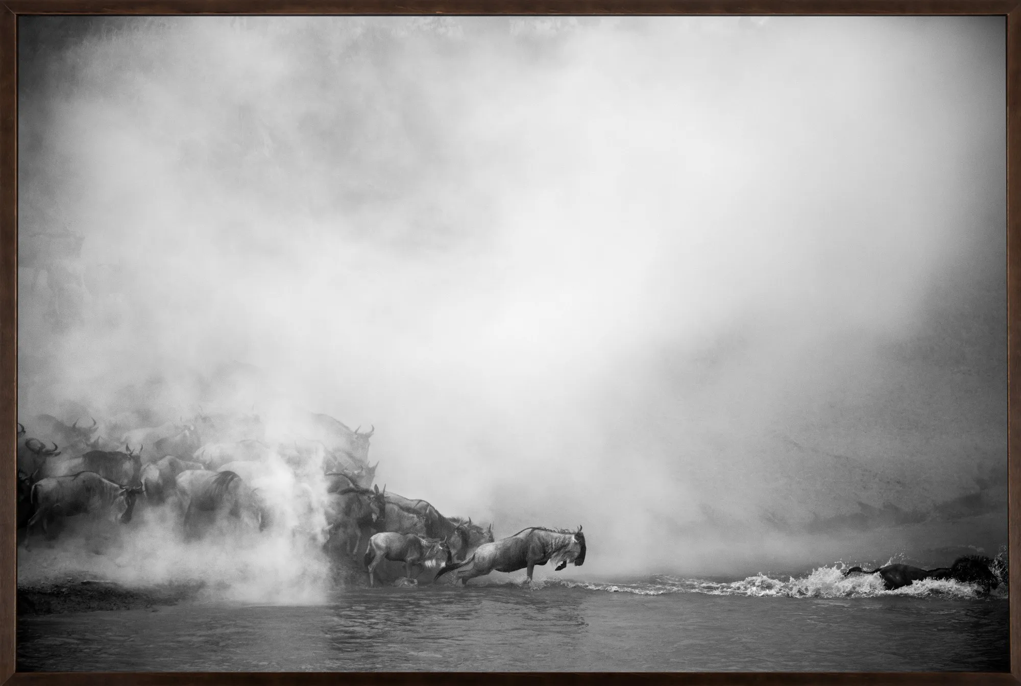 Christian Cravo - Grande Migração, Tanzânia 2012
