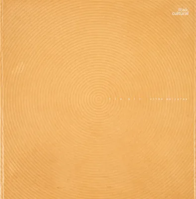 Cildo Meireles - Rio Oir
