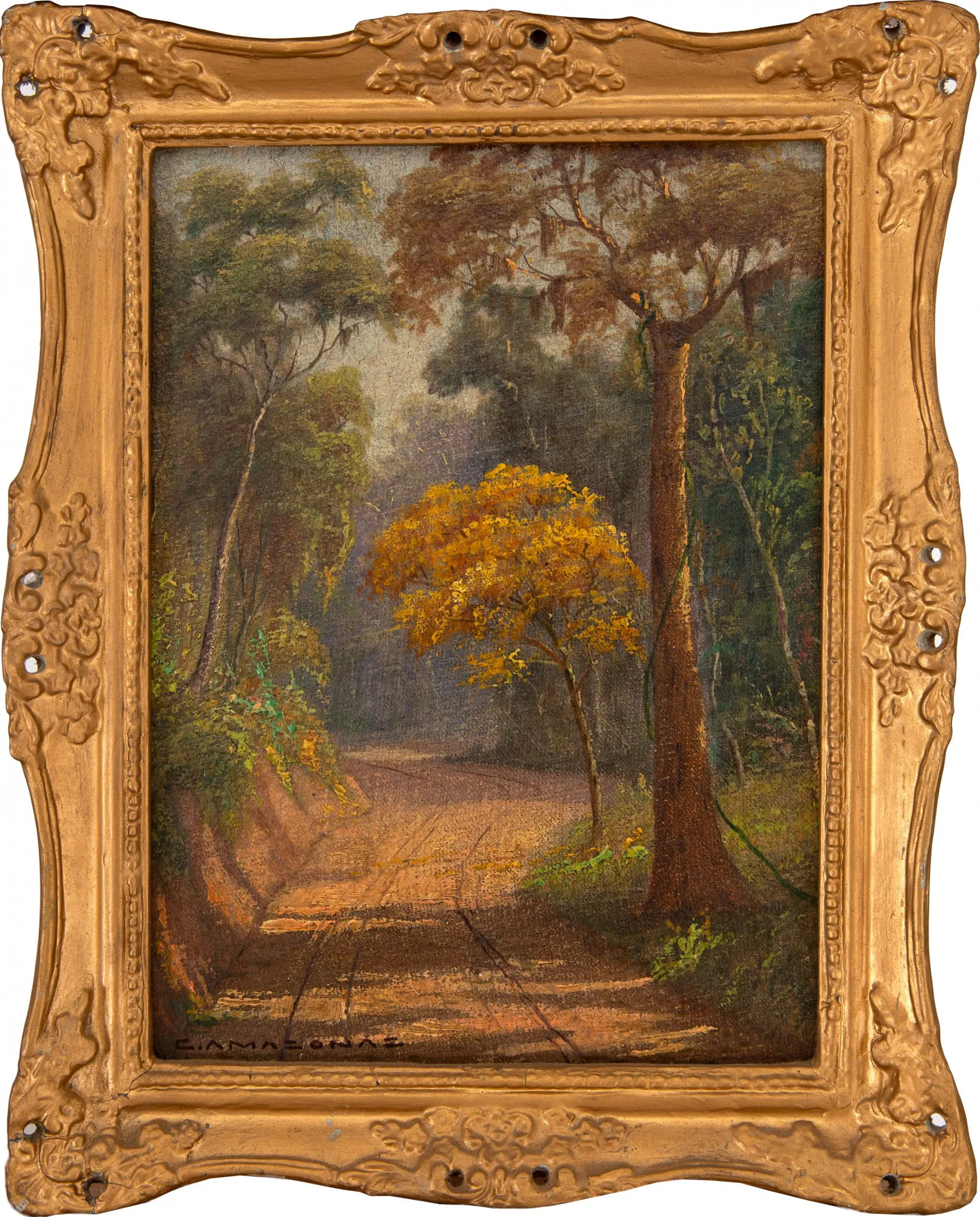 Clodomiro Amazonas - Caminho com Ipê Amarelo