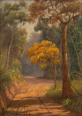 Clodomiro Amazonas - Caminho com Ipê Amarelo