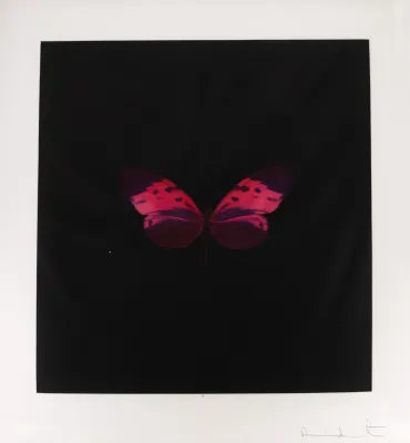 Damien Hirst - Six Butterfly