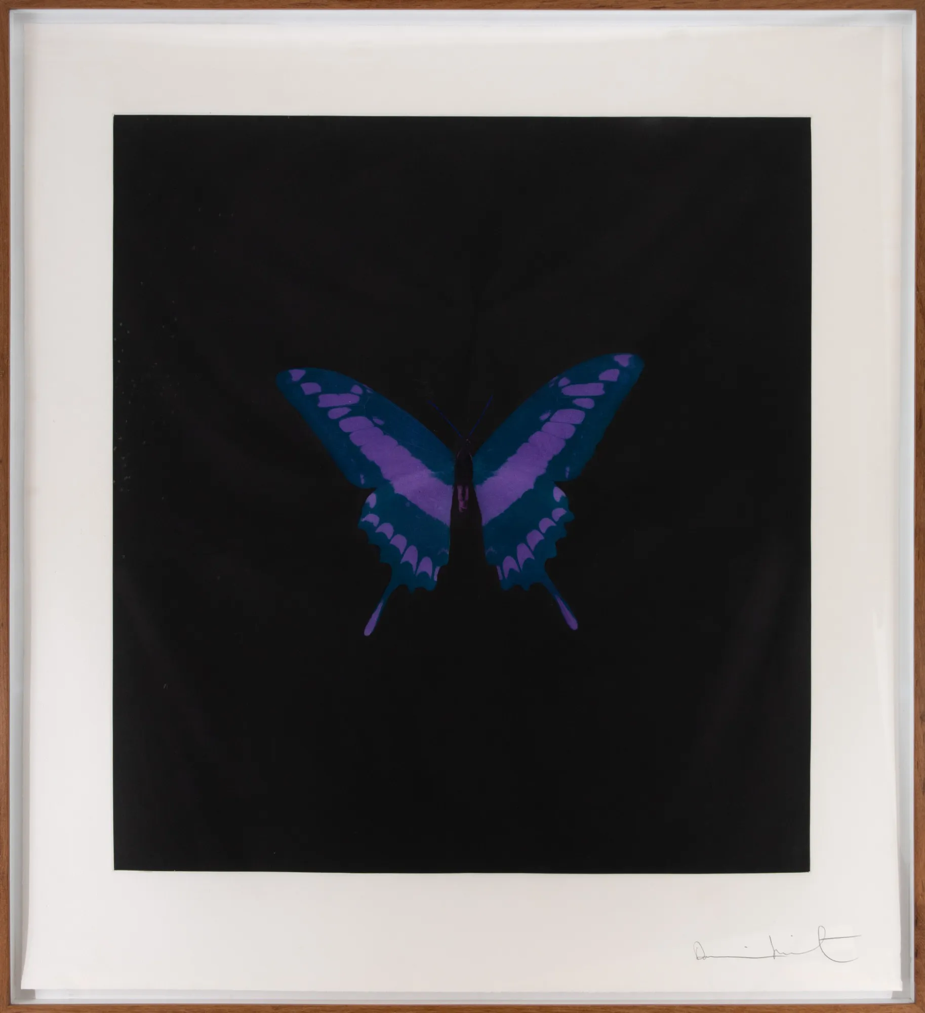 Damien Hirst - Six Butterfly