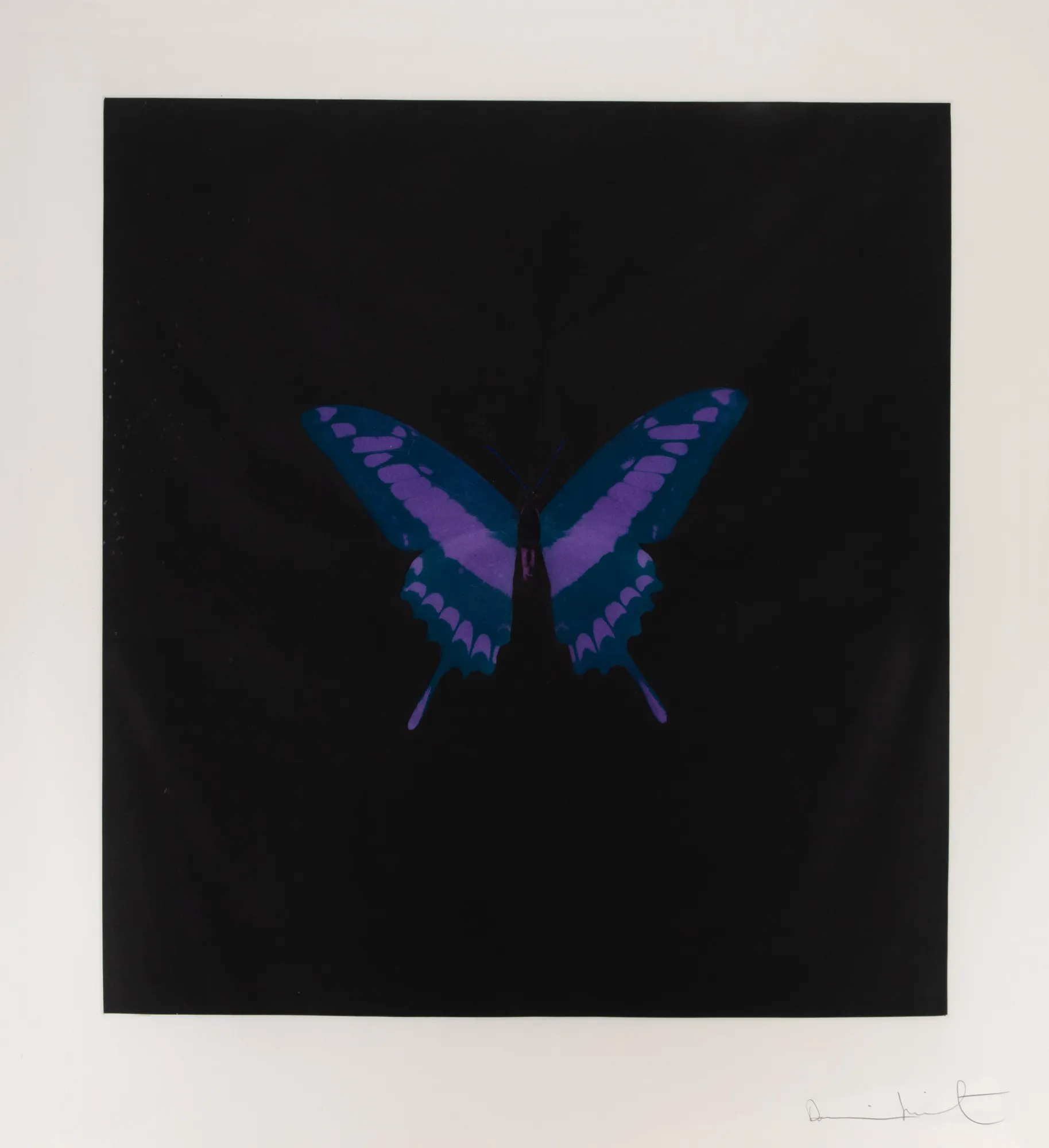 Damien Hirst - Six Butterfly