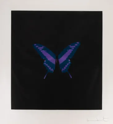 Damien Hirst - Six Butterfly