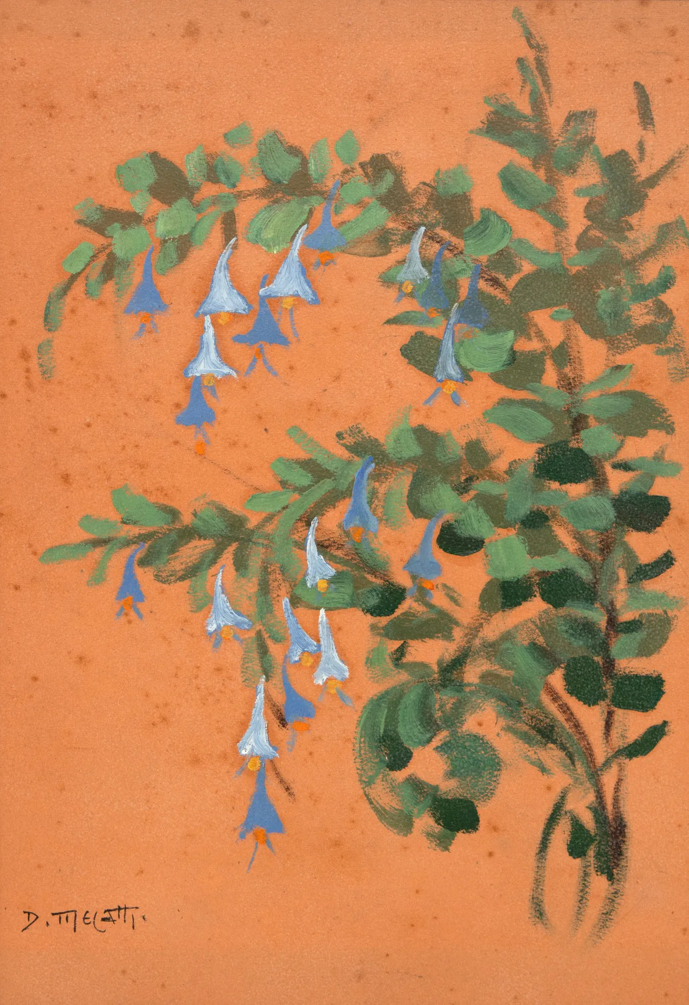 Dario Mecatti - Flores