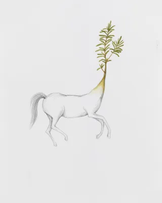 Efe Godoy - Cavalo + Alecrim - Série "Bicho, Planta, Feitiço."