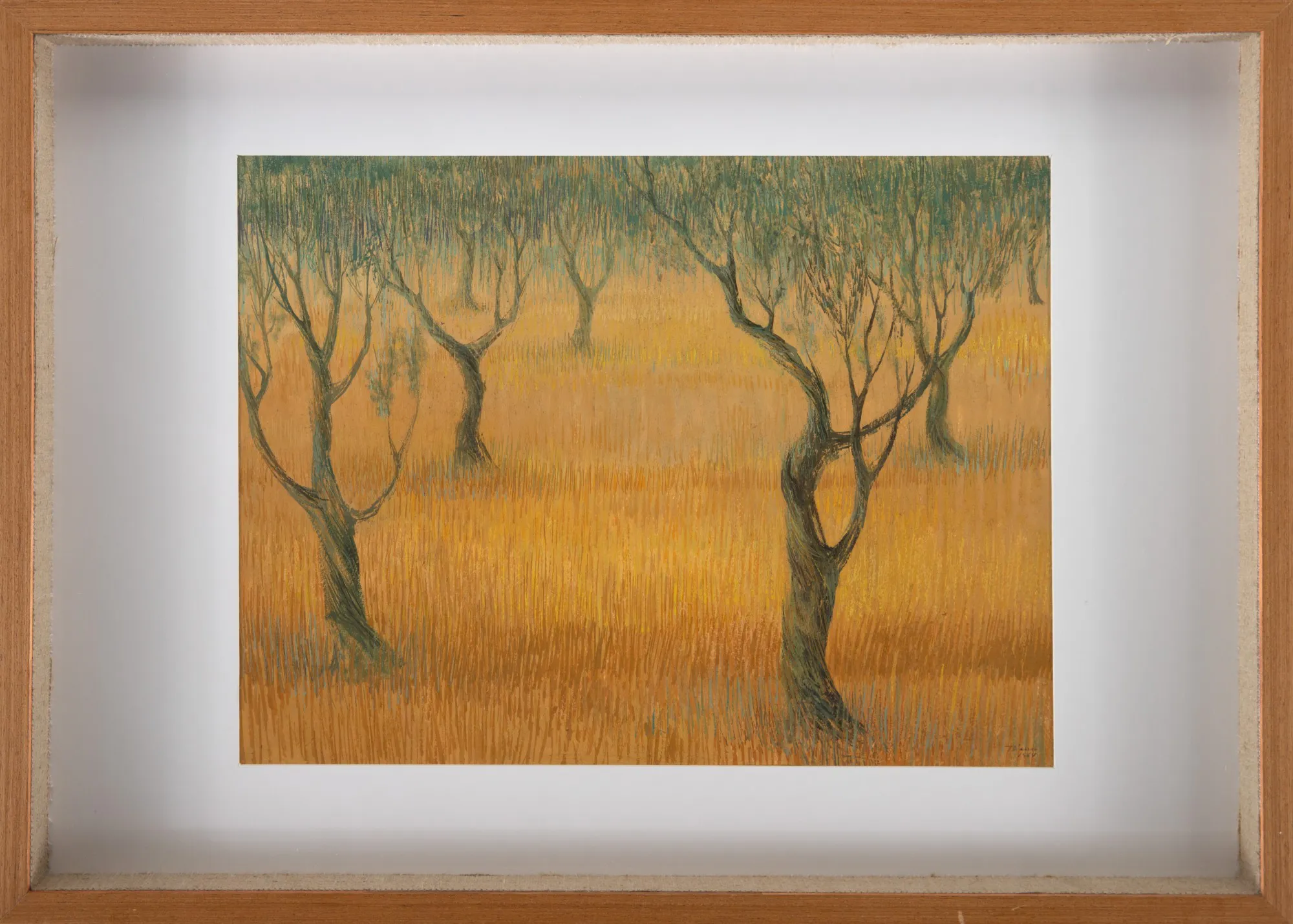 Enrico Bianco - Oliveiras