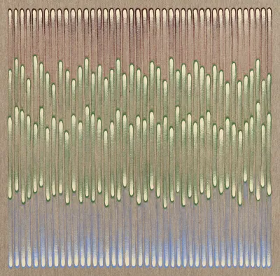 Fabiana Preti - Untitled - "chorinho" Series