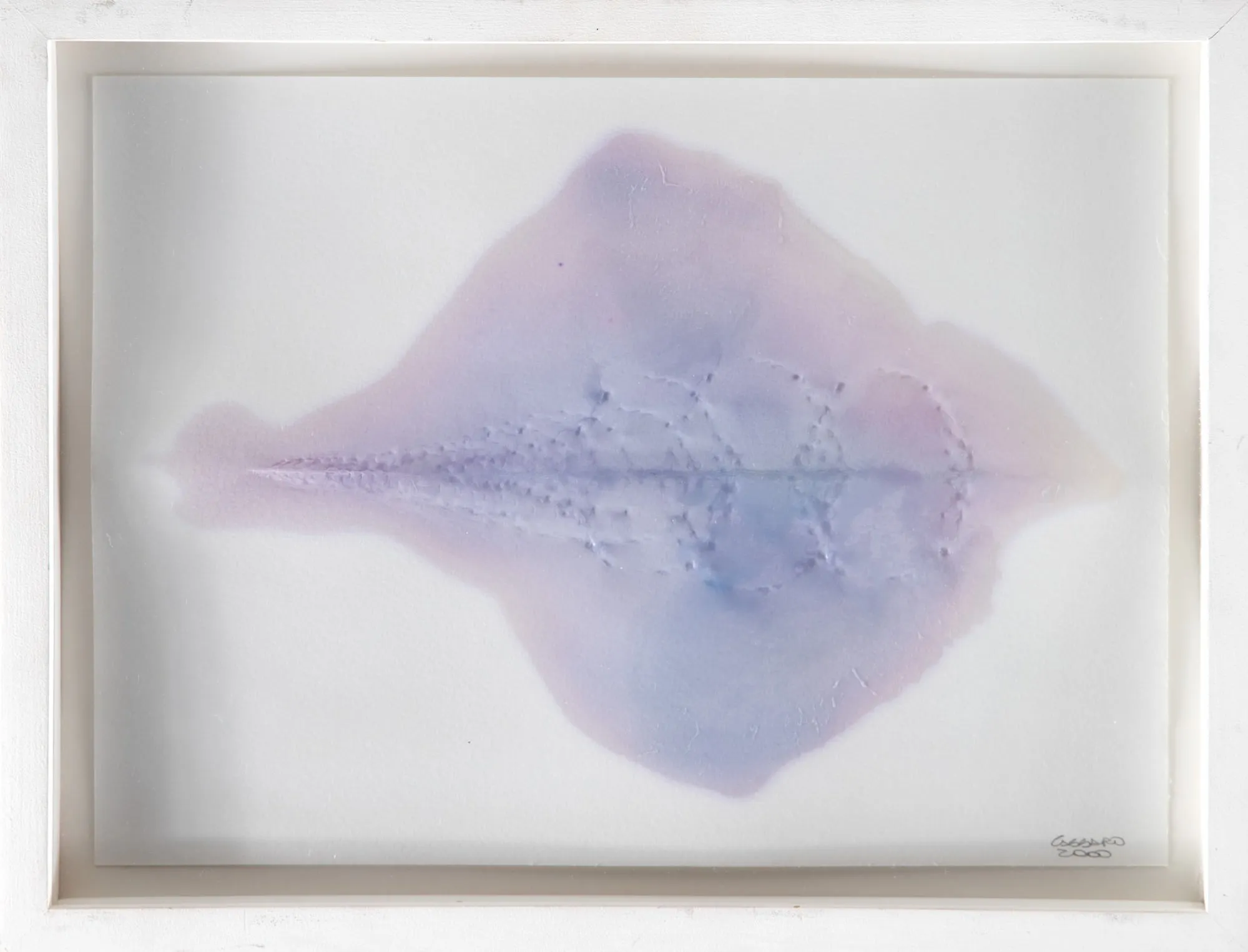 Franklin Cassaro - Sem Titulo