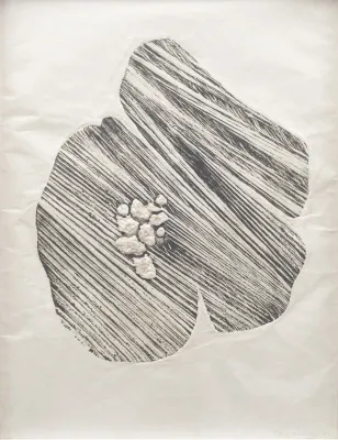 Frans Krajcberg - Composition