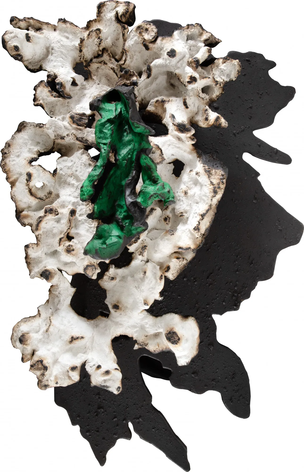 Frans Krajcberg - Sem Título