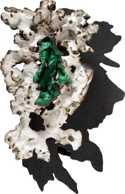 Frans Krajcberg - Sem Título