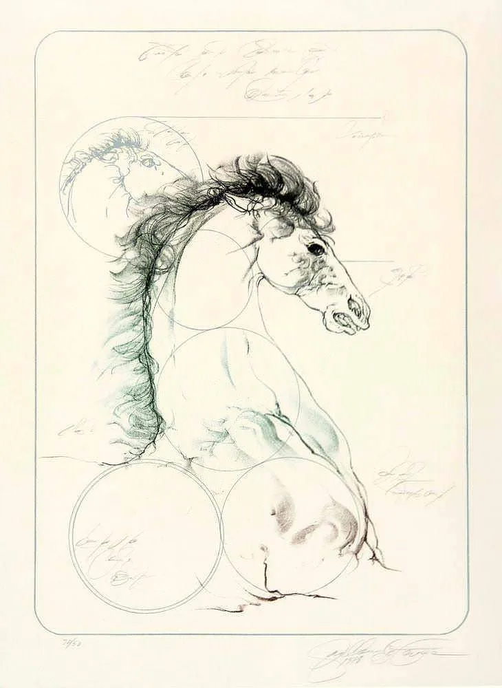 Guilherme Faria - Cavalo