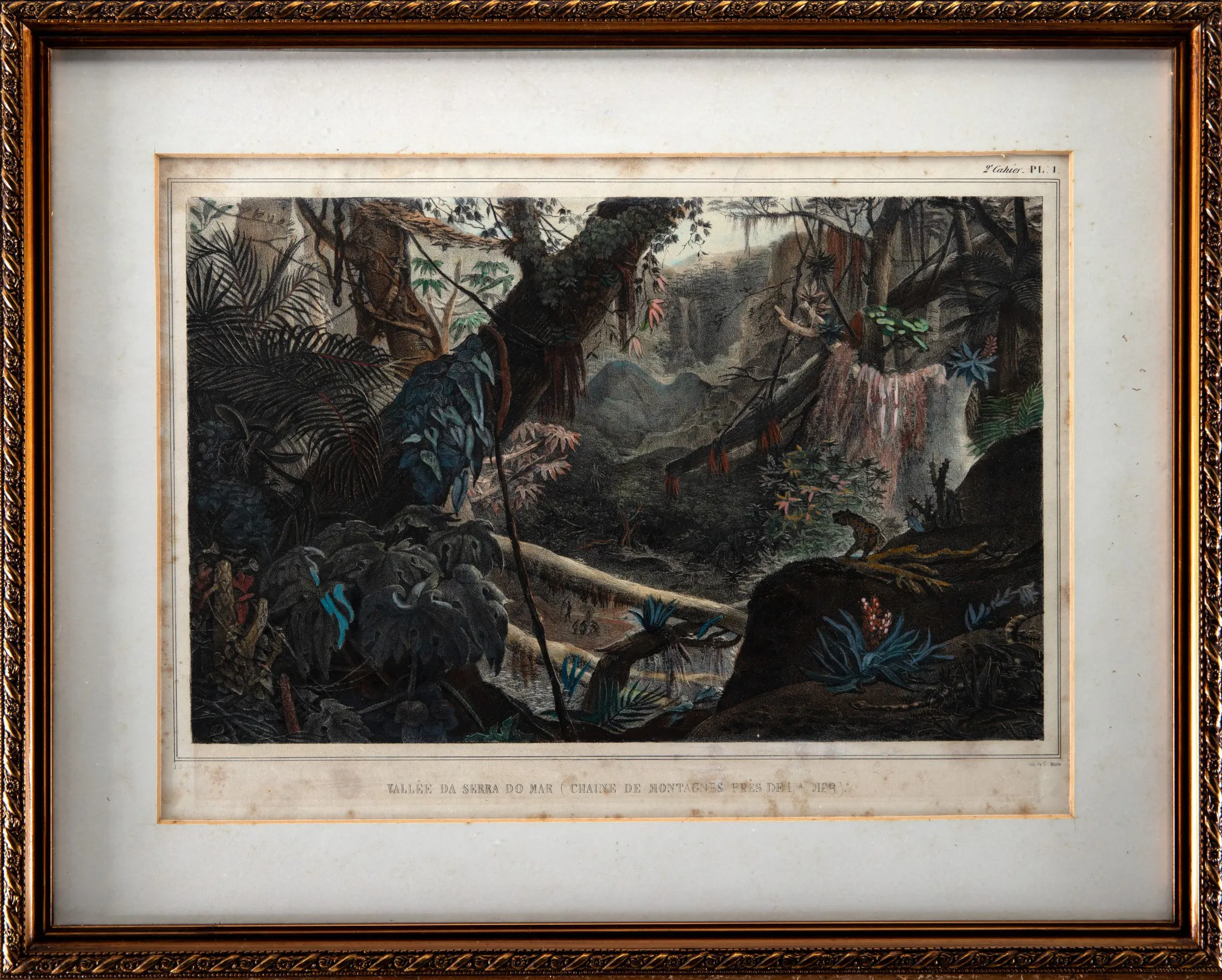 Jean-Baptiste Debret - Vallée da Serra do Mar (chaine de montagnes pres de la mer)