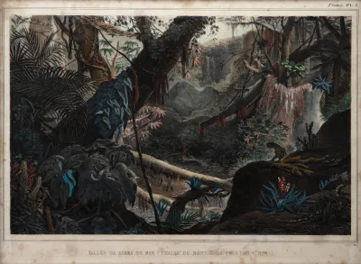 Jean-Baptiste Debret - Vallée da Serra do Mar (chaine de montagnes pres de la mer)