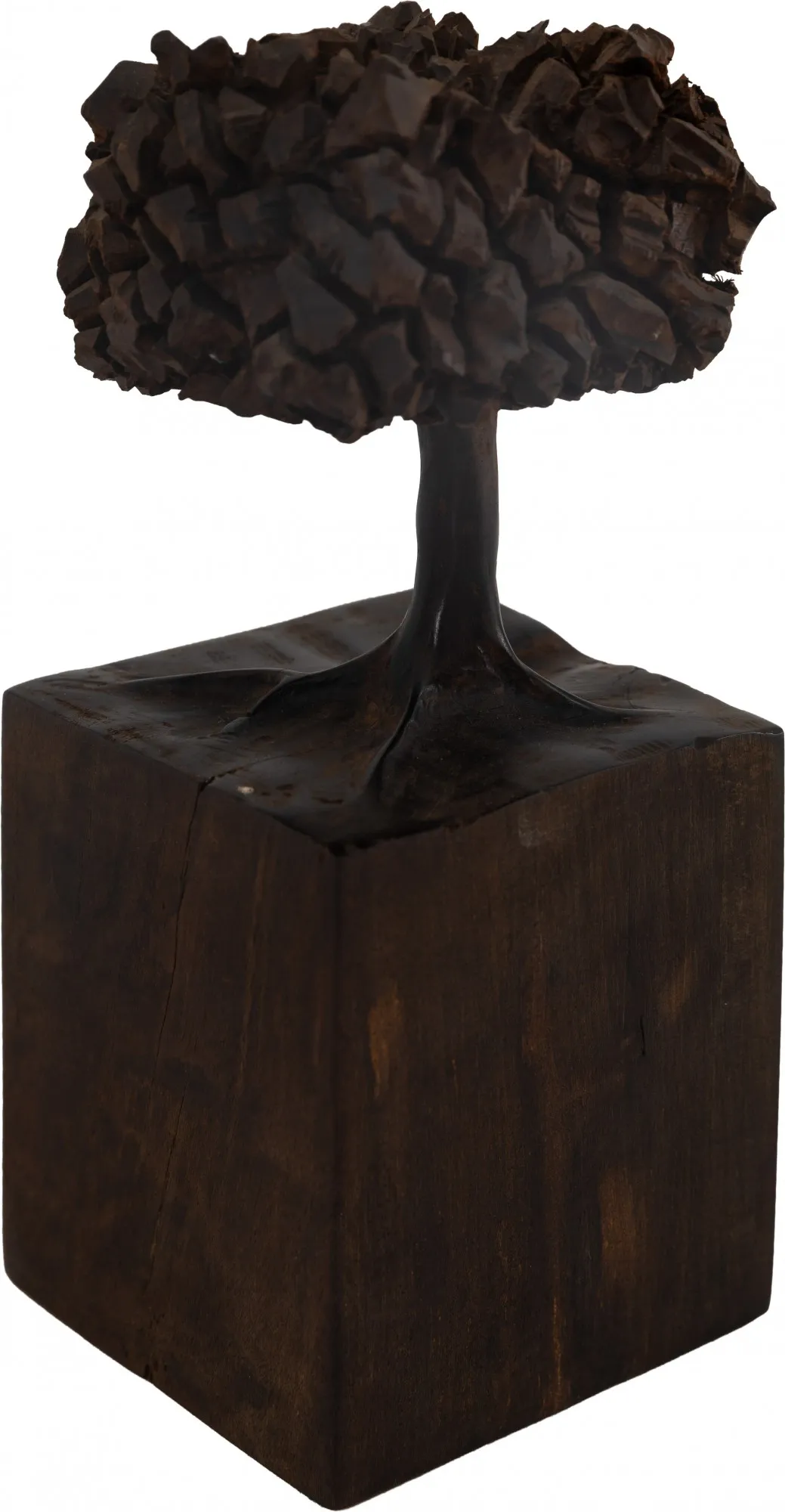 José Bento - Tree