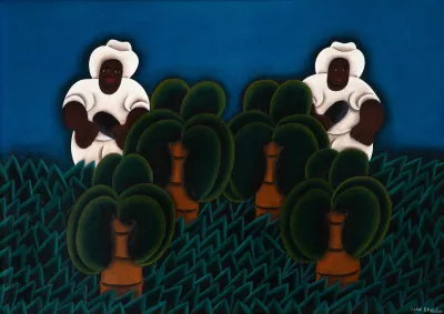 José Sabóia - Colheita