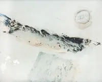 Kazuo Wakabayashi - Sem Título