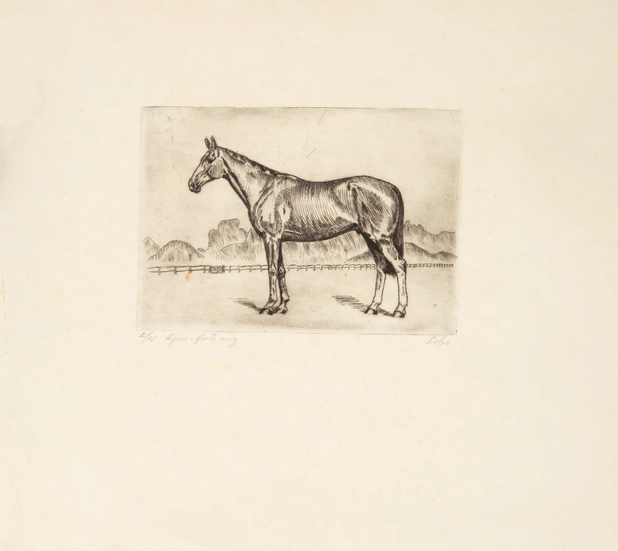 Lotus Lobo - Sem Título