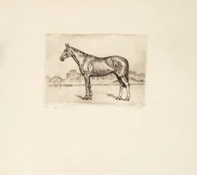 Lotus Lobo - Sem Título