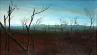 Macaparana - Queimada