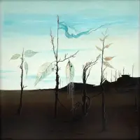 Macaparana - Sem Título