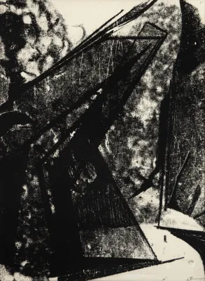 Maria Bonomi - Sem Título