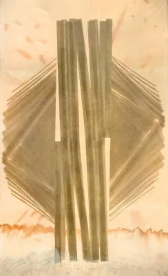 Maria Bonomi - Tragédia