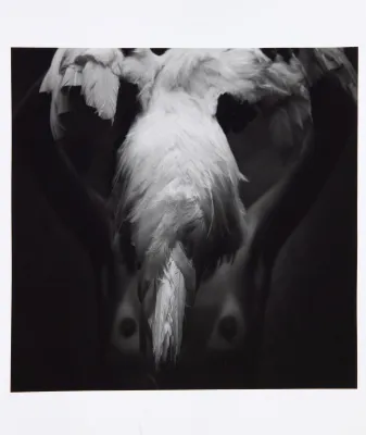 Mario Cravo Neto - Maria Ad White Cock