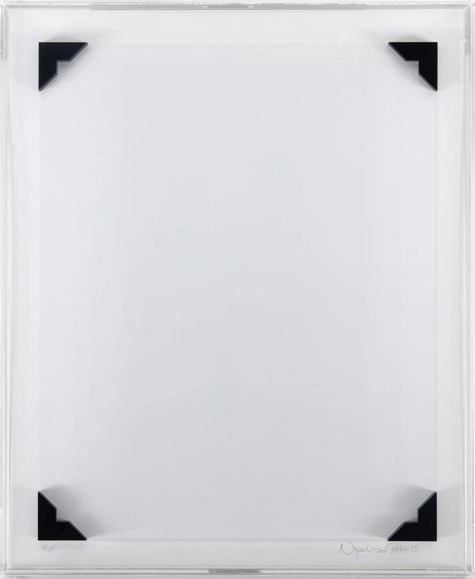 Nelson Leirner - A Câmara Clara