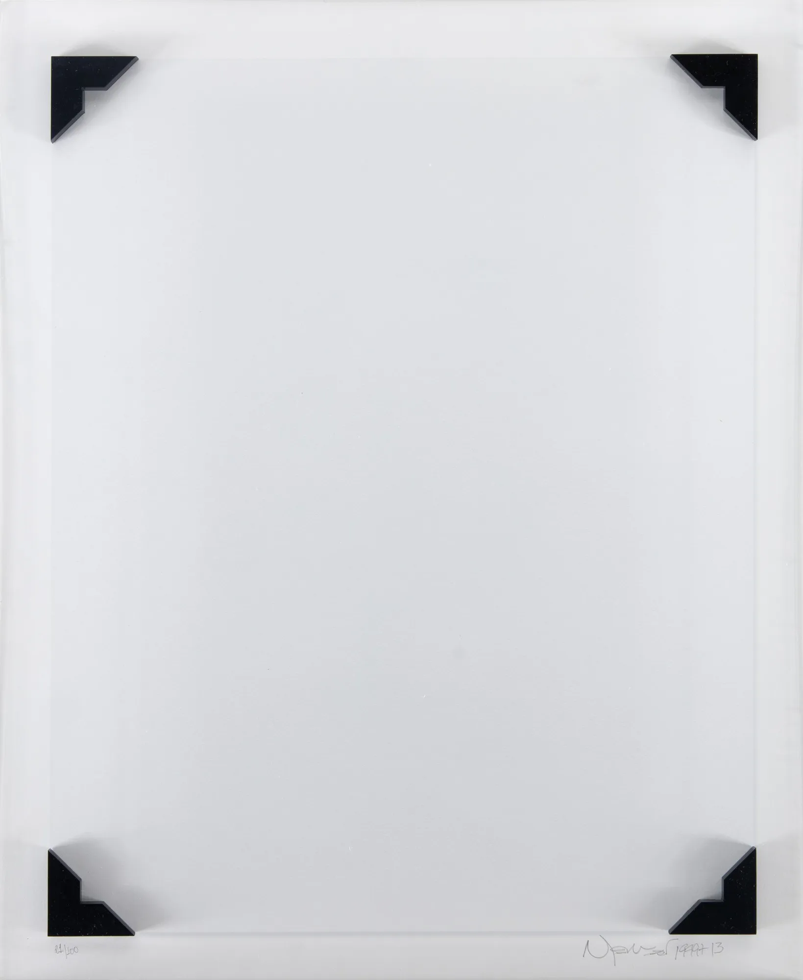 Nelson Leirner - A Câmara Clara