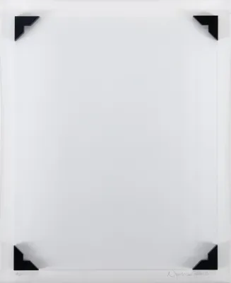 Nelson Leirner - A Câmara Clara