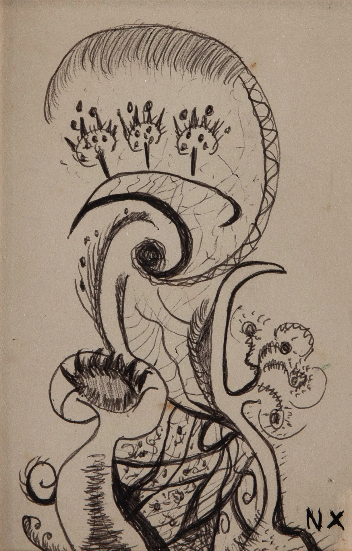 Niobe Xandó - Flor Fantástica