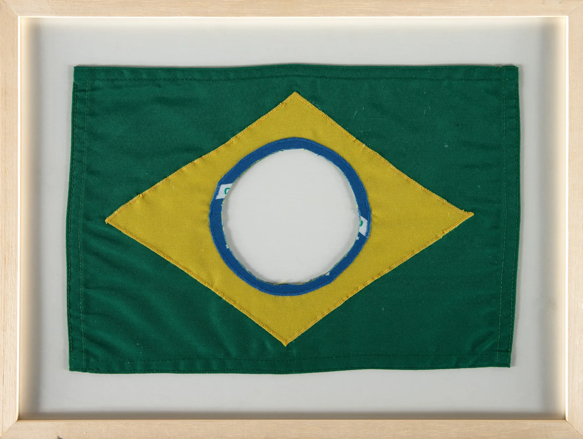 Raul Mourão - The New Brasillian Flag #2