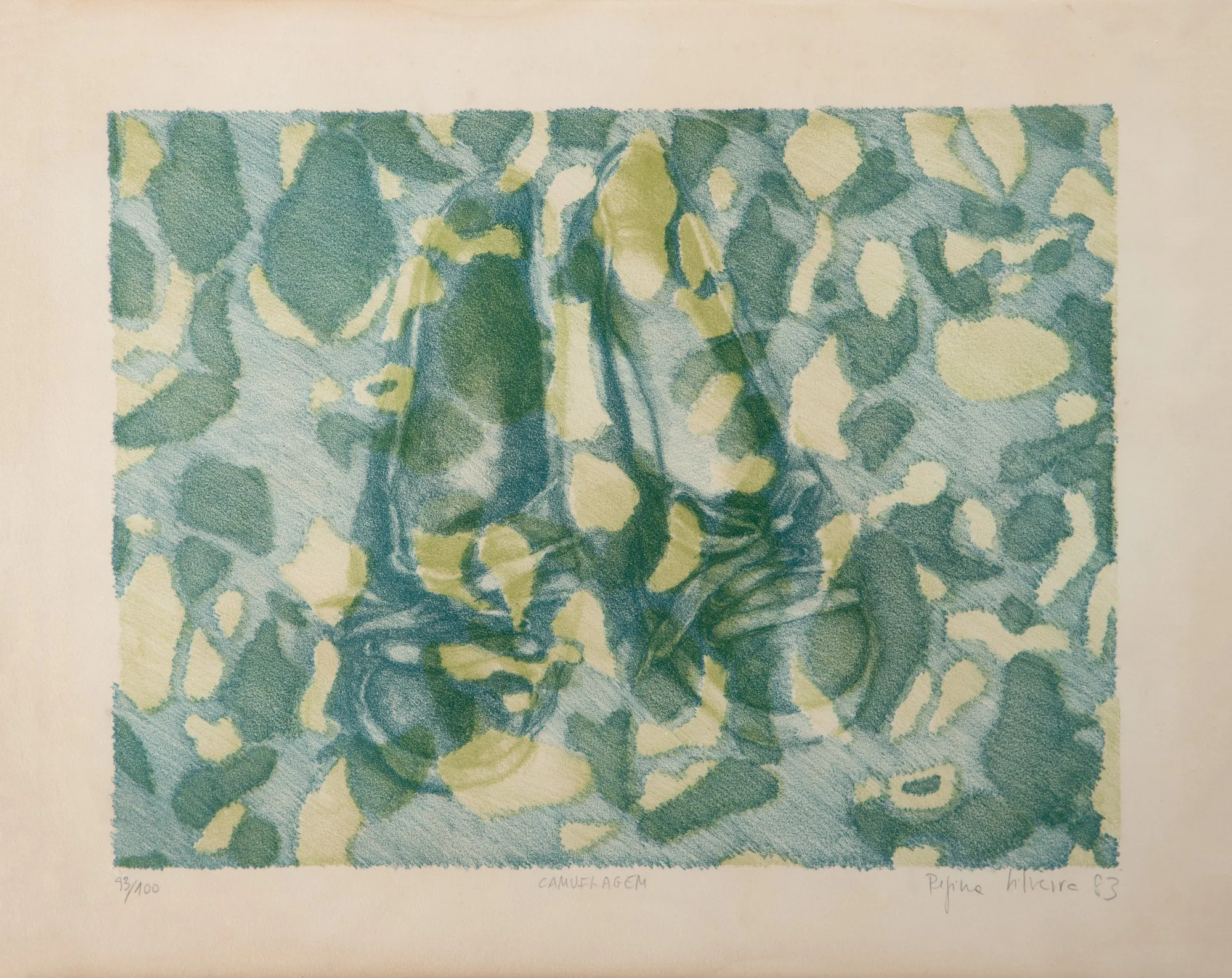 Regina Silveira - Camuflagem