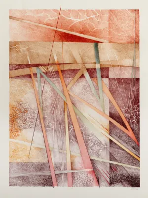 Renina Katz - Untitled