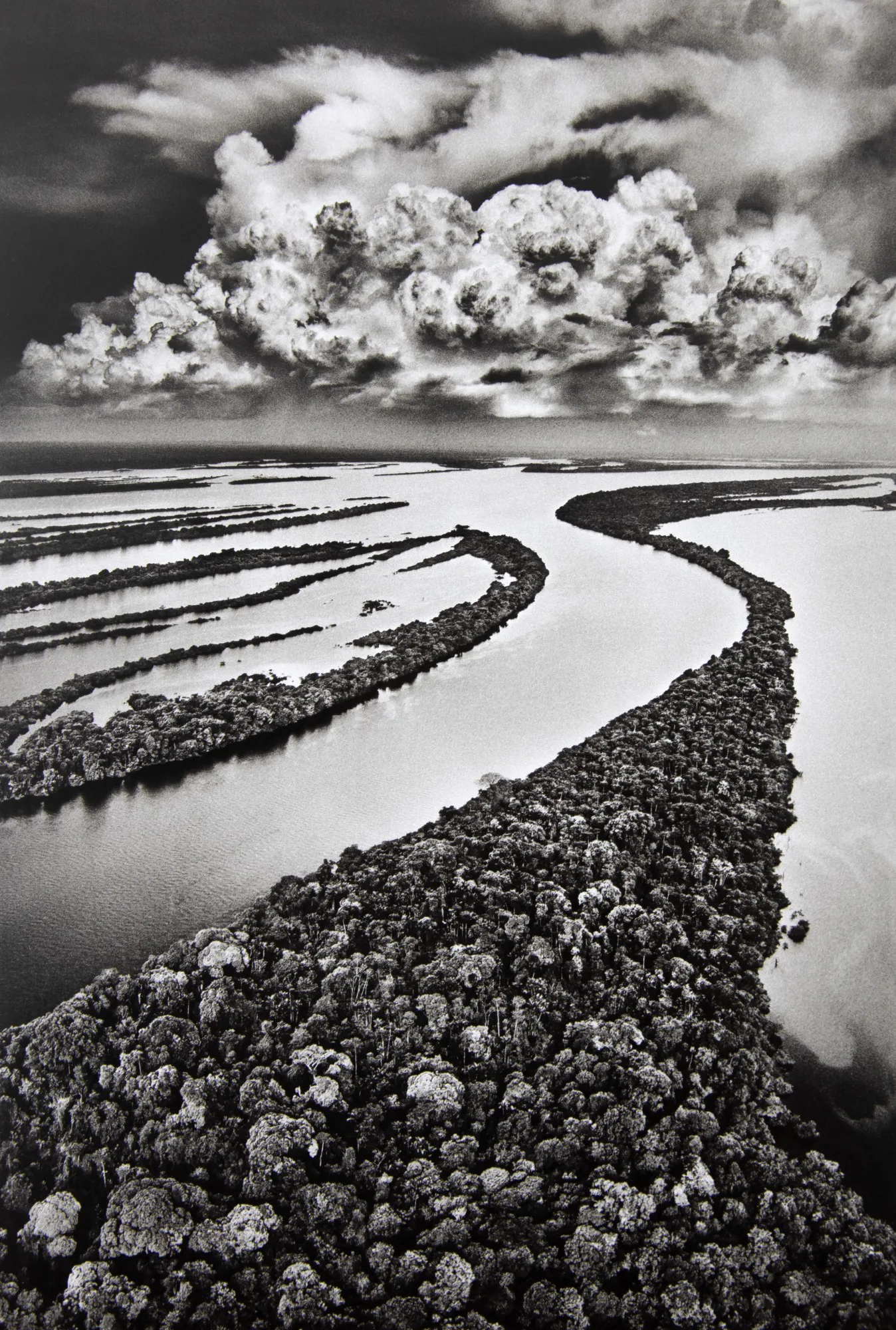 Sebastião Salgado - Ilhas Anavilhanas