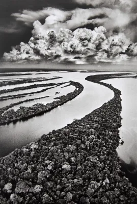 Sebastião Salgado - Ilhas Anavilhanas